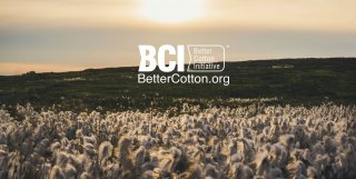 Wat is BCI-katoen en hoe duurzaam is het?